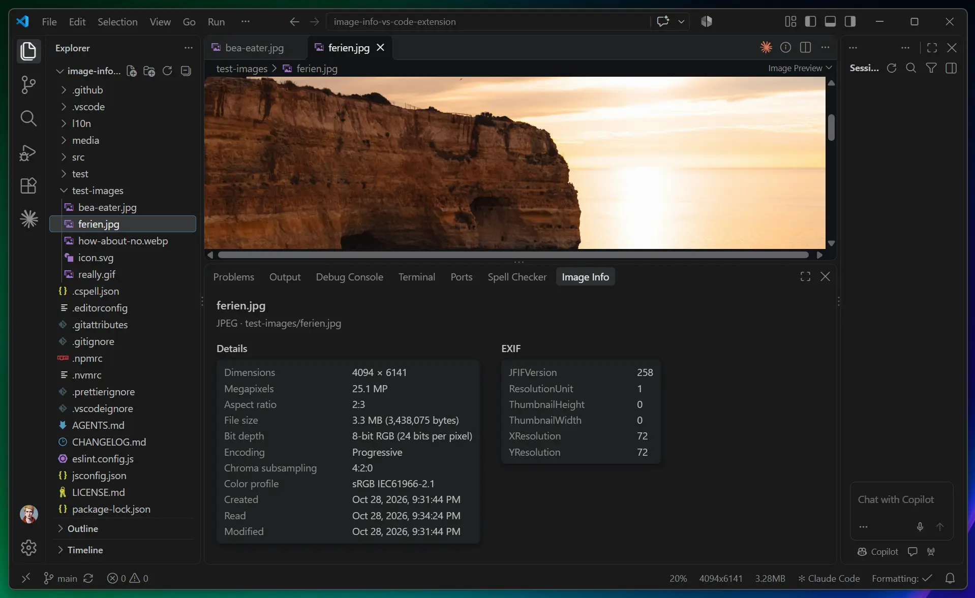 VS Code with a JPEG open and the Image Info panel showing its details and EXIF data